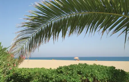 Location Appartement 3 personnes à Argeles sur Mer - Photo 2