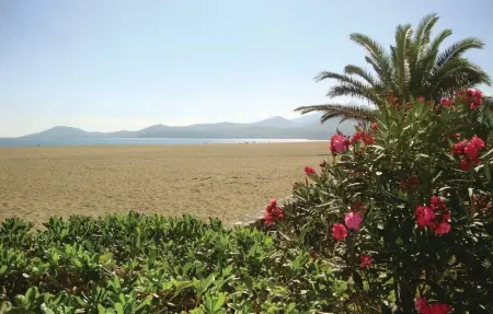 Location Appartement 3 personnes à Argeles sur Mer - Photo 6