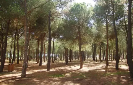 Location Appartement 3 personnes à Argeles sur Mer - Photo 10