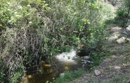 Location Maison 4 personnes à Ville di Paraso - Photo 11