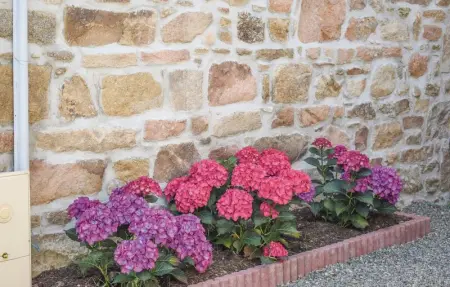 Location Maison 3 personnes à Louargat - Photo 11