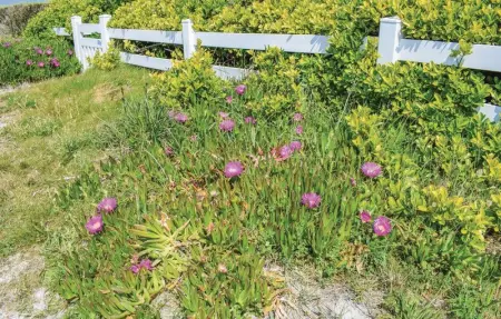 Location Maison 7 personnes à Santec - Photo 12