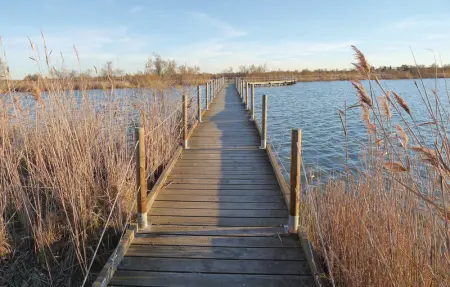 Location Maison 6 personnes à Aigues Mortes - Photo 21