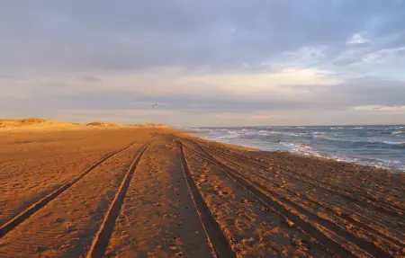Location Maison 6 personnes à Aigues Mortes - Photo 23