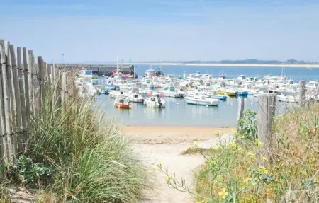 Location Maison 6 personnes à Trégunc - Photo 41