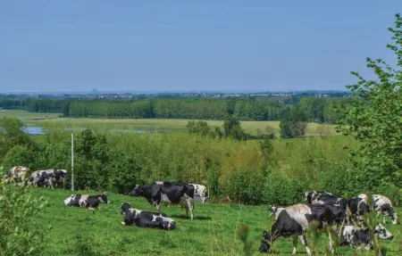 Location Maison 8 personnes à Sougeal - Photo 5