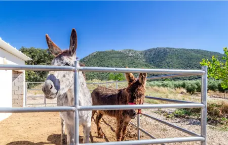 Priego De Cordoba - Fassade, Maison 12 personnes à Las Lagunillas - Photo 20