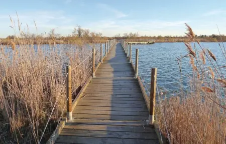 Location Maison 8 personnes à Aigues Mortes - Photo 23