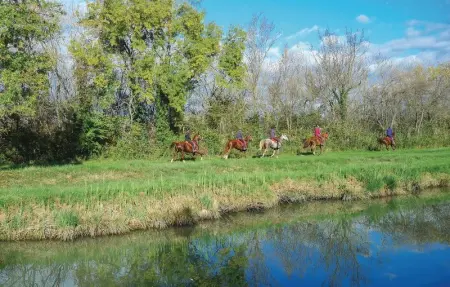 Location Maison 8 personnes à Aigues Mortes - Photo 28