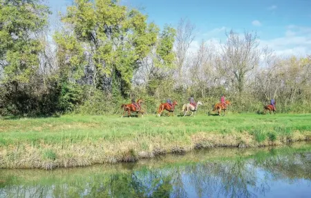 Location Maison 5 personnes à Aigues Mortes - Photo 28