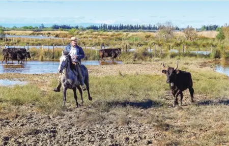Location Maison 5 personnes à Aigues Mortes - Photo 30