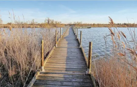 Location Maison 5 personnes à Aigues Mortes - Photo 31