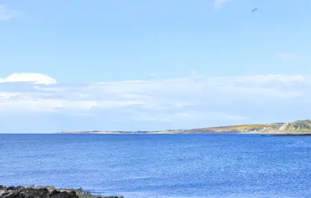 Location Maison 6 personnes à Digosville - Photo 21