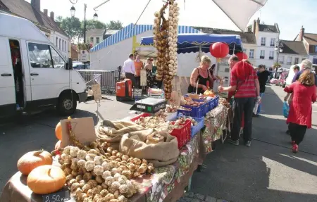 Location Maison 6 personnes à Senlecques - Photo 21