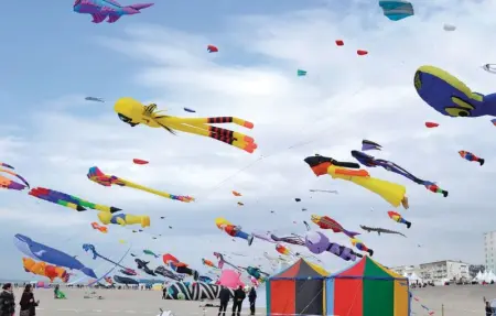 Location Maison 6 personnes à Senlecques - Photo 23