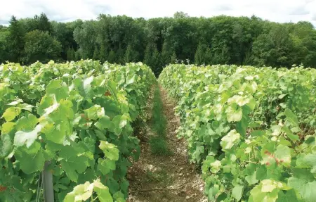 Apt B, Maison 4 personnes à Jaulgonne - Photo 25