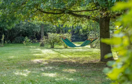 Location Maison 12 personnes à Quiestede - Photo 13