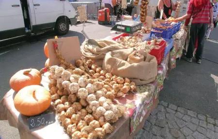 Location Maison 12 personnes à Quiestede - Photo 31