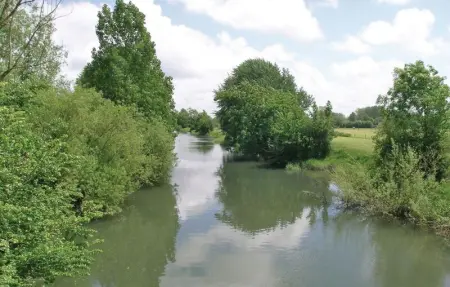 Location Maison 12 personnes à Quiestede - Photo 32