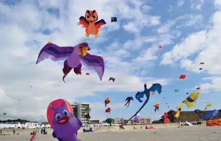 Location Maison 12 personnes à Quiestede - Photo 33