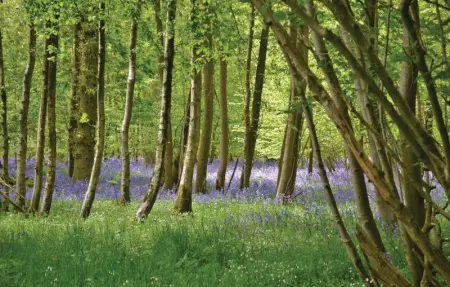 Location Maison 12 personnes à Quiestede - Photo 35