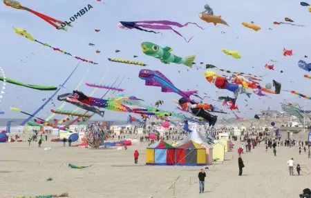 Location Maison 2 personnes à Ambleteuse - Photo 14