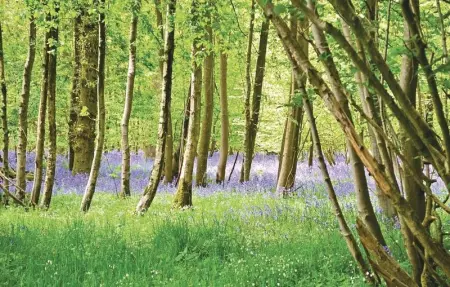 Location Maison 4 personnes à Grigny - Photo 17