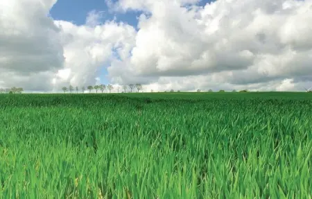 Location Maison 4 personnes à Grigny - Photo 20