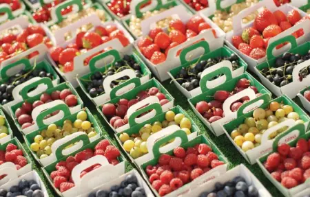 Location Maison 6 personnes à Saint Remy de Provence - Photo 18