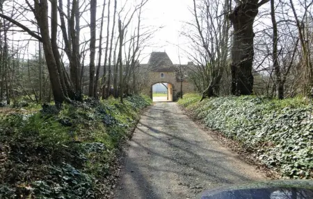 Location Maison 4 personnes à Domfront en Champagne - Photo 3