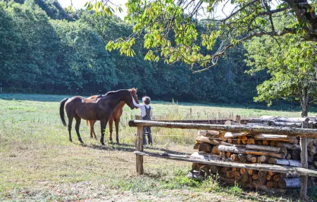 Location Maison 4 personnes à Domfront en Champagne - Photo 9