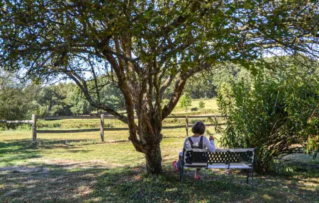 Location Maison 4 personnes à Domfront en Champagne - Photo 12