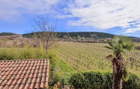 Location Maison 12 personnes à Lussas - Photo 10