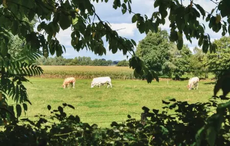 Location Maison 5 personnes à Montaudin - Photo 8