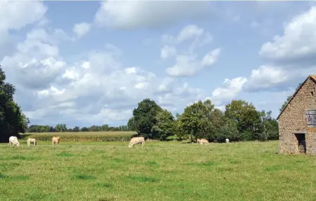 Location Maison 5 personnes à Montaudin - Photo 9