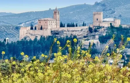 Location Maison 8 personnes à Puertollano - Photo 18