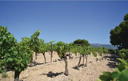 Location Maison 6 personnes à Caromb - Photo 28