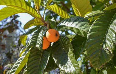 Location Maison 3 personnes à Algarrobo - Photo 17