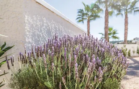 Location Maison 8 personnes à Ciudad Quesada Rojales - Photo 10