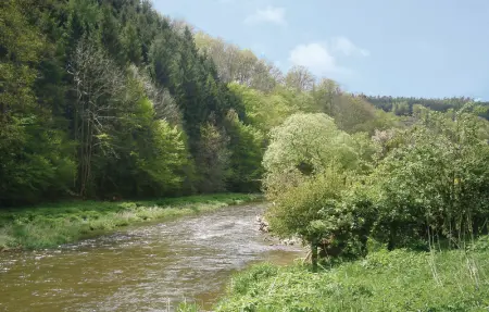 Astrid, Maison 5 personnes à Burg Reuland - Photo 12