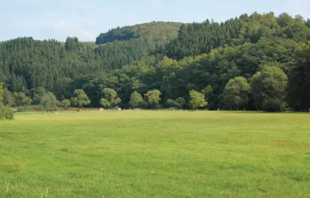 Astrid, Maison 5 personnes à Burg Reuland - Photo 13