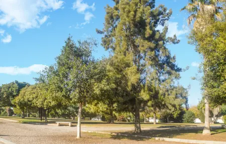 Urb Altos Bahia VII, Maison 4 personnes à Torrevieja - Photo 12