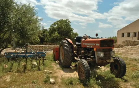 Location Maison 10 personnes à Ariany - Photo 64