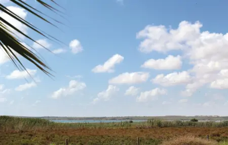 Location Maison 4 personnes à Guardamar del Segura - Photo 24