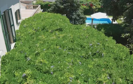 Location Maison 14 personnes à Sóller - Photo 18