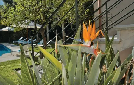 Location Maison 14 personnes à Sóller - Photo 22