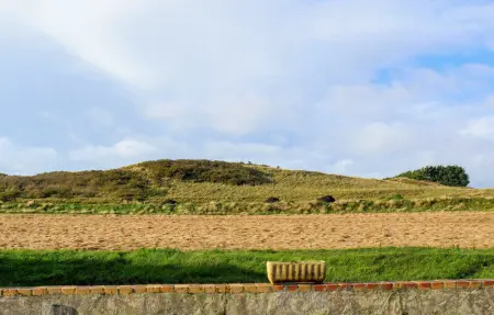 Location Maison 9 personnes à Creances - Photo 13