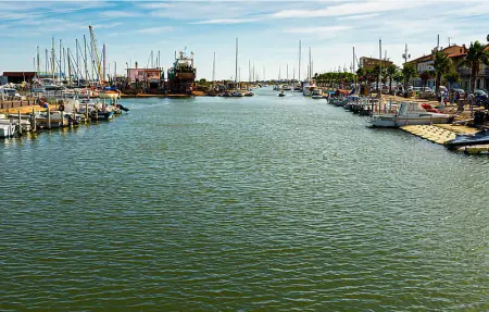 Location Maison 6 personnes à Vauvert - Photo 41