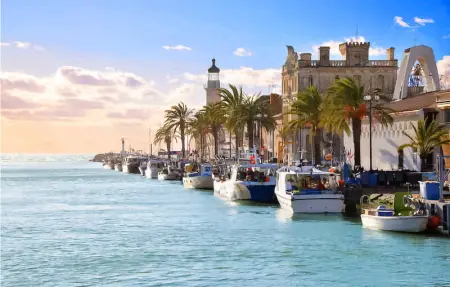 Location Maison 6 personnes à Vauvert - Photo 47