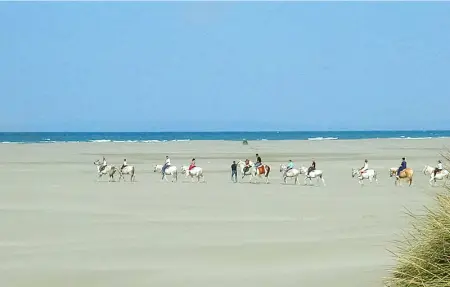 Location Maison 6 personnes à Vauvert - Photo 49